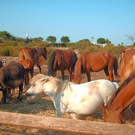 La Lucia